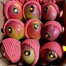 과일의 여왕 [특대] 로얄 애플망고 프리미엄 고당도 달콤한 애플망고 페루산, 4kg