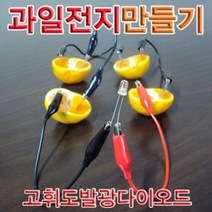 위dhns_향앤미과학 과일 전지 고휘도 발광 다이오드 1인용 실험키트 교구 만들기 학습 교육용 교재♥dhn, ♥happynesss