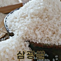 충북 보은 22년산 삼광미 삼광쌀 4kg 밥맛좋은쌀
