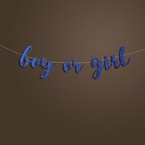 네온사인소품 LED 실내간판 소년 또는 소녀 배너 베이비 샤워 성별 공개 장식 사인 배경 골드 반짝이 첫, 한개옵션1, 01 Blue Glitter