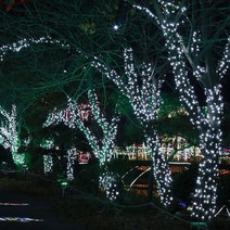 녹색선 백색 트리전구 100구 지니전구10M 점멸 LED 473505EA, 쿠팡@ 본상품선택