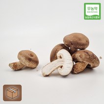 강원도 강릉 솔송고버섯 1kg 송화버섯 송이맛표고