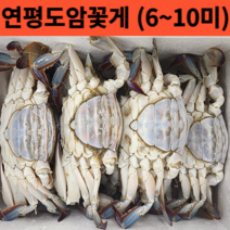 국내산 서해안 급냉 암꽃게 2kg 찜용 탕용 추천 (실속형 가성비), 국내산 냉동 암꽃게2kg