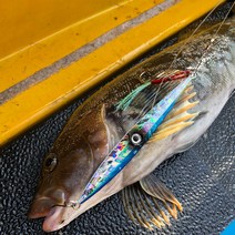 롱지그 LJG004 메탈지그 빅게임 지깅메탈 부시리 방어 삼치 대구 메탈, 400g, 04 블루핑크