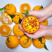 제주 한라봉 5kg 가정용 고당도 제주도 제철 과일 할라봉, 소중과 5kg (25~30과)