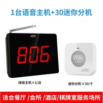서빙호출기 자동주문기 커피숍 음식점 호출벨 진동벨 업소용 카페, 본체 1대 + 내선 30개 세트(그레이버튼)