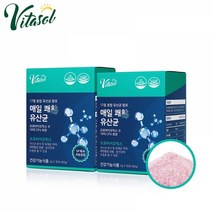 [비타솔] 매일 쾌활 유산균 X 2통스틱유산균블루베리맛 (10억 유산균), 단품