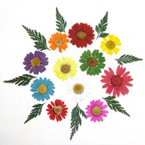 압화재료 압화종합팩 착색마가랫 모음 압화공예 레진공예 솔체압화