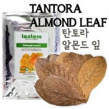 탄토라 알몬드잎 NANO 15장, 단품