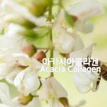 아카시아콜라겐-천연화장품재료, 100ml, 1개