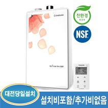 대성쎌틱 DNB 13S 21평이하 일반 가스보일러 (대전 및 인근지역 설치가능), DNB-13S-21평이하+경보기