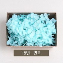 화연양화 블루밍수국 박스수국 컬러최다 30색! 프리저브드플라워, 18 민트