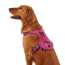 KONG 내구성이 뛰어난 쓰레기 봉투 하네스(라지 그린), Pink, Large, Pink_Large