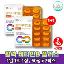 활력 비타민b 맥스 b8종 비타민 b군 bb6 비3 b6b12 복합체 비콤플렉스 thiamine pyridoxine 리보플라빈 알약 정, 2박스