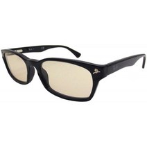 레이 라이트 컬러 선글라스 Ray-Ban RX5017A-2000 (52) 아시안 피트 셀 프레임 여성 남성 UV 차단 컬러