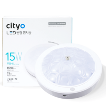 씨티 LED센서등 15W 센서등 현관등 현관문 동작 LED, 씨티 LED 센서등 15W 주광색(흰빛)