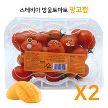 다름달음 다름마토 스테비아 대추방울토마토 망고향, 1kg