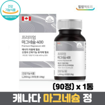프리미엄 마그네슘 400 산화마그네슘 1200mg x 90정, 1통