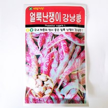 얼룩난쟁이강낭콩씨 30g
