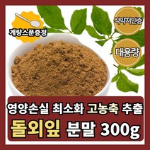 돌외잎 분말 100% 추출물 가루 300g 식약처인정 대용량 먹는방법 먹는법 효능 차, 300g/스푼증정, 300