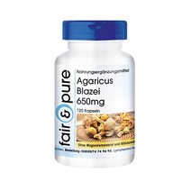 아가리쿠스 블레이지 650mg ABM 버섯 머릴 마그네슘 미 120캡슐