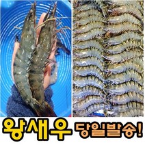 새우가통째로 가성비 좋은 제품 중 알뜰하게 구매할 수 있는 판매량 1위 상품