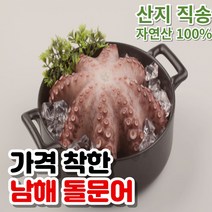 가격착한 남해 돌문어 1kg 2kg 당일 조업 당일 배송 시스템 피문어 자연산 숙회 회 문어, 1kg (1~3미/2~3인분)