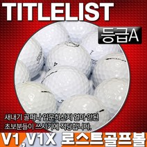 [타이틀리스트//로스트볼] TITLEIST V1 V1x 로스트 볼 [1PACK 10알], V1x로스트볼[1더즌 10알]