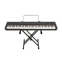 Artesia PA88H / 포터블 스테이지 디지털피아노, 블랙( 블랙 색상 X-STAND포함), PA-88H+