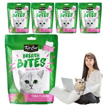 킷캣 브레쓰바이트 고양이 덴탈 치석제거 이빨과자 마약간식, 5팩, 참치맛 60g