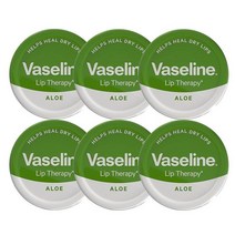 Vaseline Lip Therapy Aloe Vera 바세린 립테라피 알로에 베라, 20g, 6개