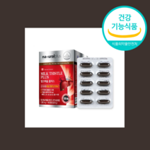 밀크 씨슬 시술 시스 추출물 간 건강 도움 SILYMARIN 선물 지인, 1000mgx60개