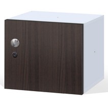 - 아이엠비몰 / 큐빅 사물함 / 열쇠형 / 4가지 사이즈 10가지 칼라, 열쇠형 라이트 400(소), 월낫