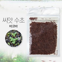수초 씨앗 4종 미니바코바 바코바 미니헤어 롱헤어 8g, 바코바 8g