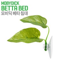 모비딕 베타침대 베타안식처 산란처, 그린