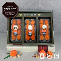 [프레시데이] [농협] 고품격 장성 대봉 반건시 곶감 선물세트 3호 (자연), 상세 설명 참조, 상세 설명 참조