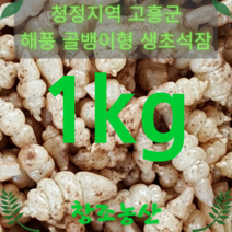 창조농산 골뱅이형 생초석잠 소형(비세척), 1박스, 1kg