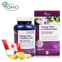 감마리놀렌산 보라지유 보라지 오일 감마리놀렌산 보라지꽃 종자유 감마리놀레산 감마리놀산 영양제, 1통