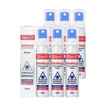 오리진에이 호주 프로폴리스 스프레이 25ml x 6병