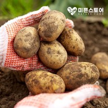미쁜스토어 포실포실한 2023년 햇 감자 3kg 5kg 10kg 20kg, 1개, 감자 10kg 특(찜용/요리용)
