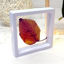 S 투명 압화 액자 l diy 만들기 미니 아크릴 프레임