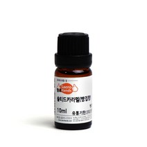 새로핸즈 프래그런스오일 솔티드 카라멜향 10ml FO, 단품