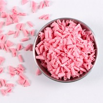 초콜릿 블로섬 딸기 (250G) / 장식용 초콜릿