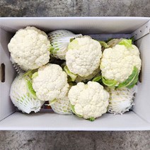 야채24닷컴 생 컬리플라워 500g, 1개