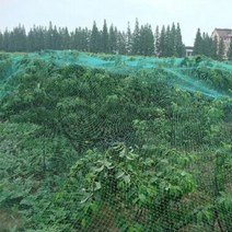 4x5m 조류 방지 그물망 과수 나무 작물 울타리 방조 참새 까치, 단품