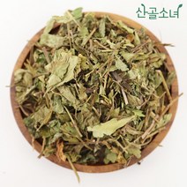 산골소녀 국내산 삼백초 삼백초차, 600g
