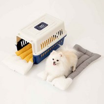 페스텝 켄넬방석 빼꼼이 강아지 마약방석 그린 고양이 애견 쿠션, M