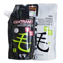 뷰티원 오징어먹물 염색약 프리미엄 센트라모코팅 칼라크림 500g 1제+2제 무향료 저자극, 센트라모3N진한갈색