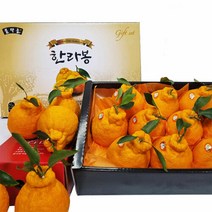 이제주몰 한섬누리 서귀포올레 한라봉 선물용 2.5kg(7-11과), 1개