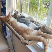 고양이 해먹 창문 선반 고양이 창문 해먹 강력고정 윈도우 창틀 투명, 베이지
